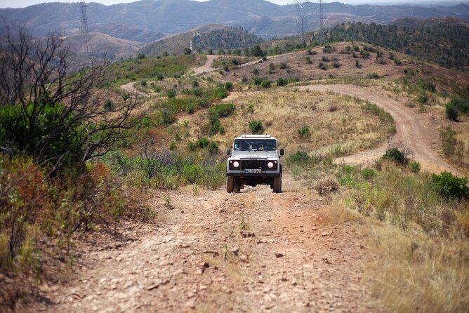 Jeep Safari to Akamas National Park: Avakas Gorge Tour from Paphos - Baths of Aphrodite: pleasant, but keep expectations modest