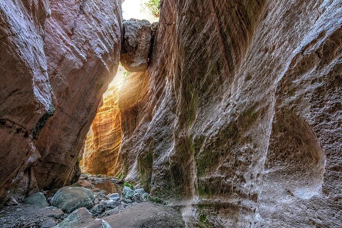 Jeep Safari to Akamas National Park: Avakas Gorge Tour from Paphos - Avakas Gorge: the day’s best walk