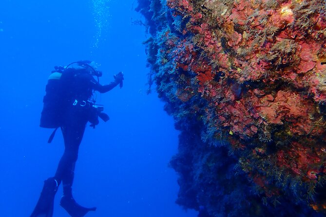 Jubilee Shoals guided boat dives - Exploring Cyprus sites from 16 meters to 50-plus