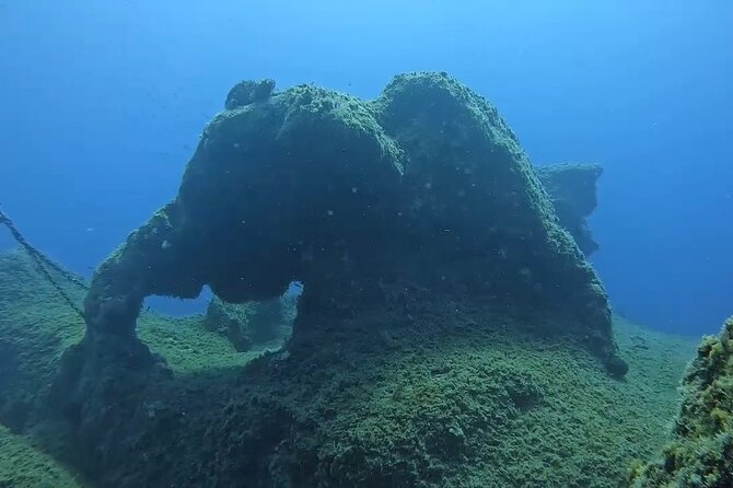Jubilee Shoals guided boat dives - Why the Open Water requirement matters