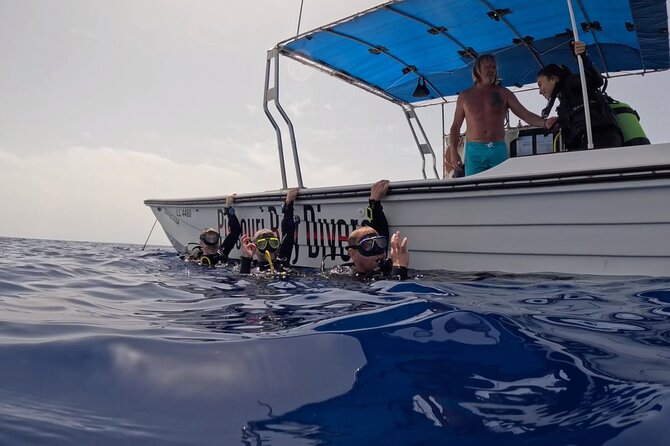 Jubilee Shoals guided boat dives - The operator’s flexible approach