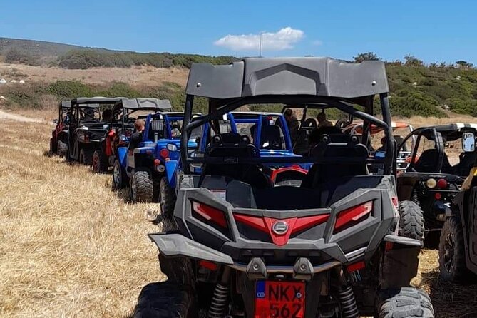 Lara Bay & Adonis Falls Quad & Buggy Tour - Why this Paphos outing is different