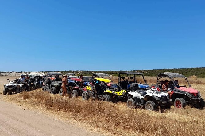 Lara Bay & Adonis Falls Quad & Buggy Tour - Guides and the small-group advantage