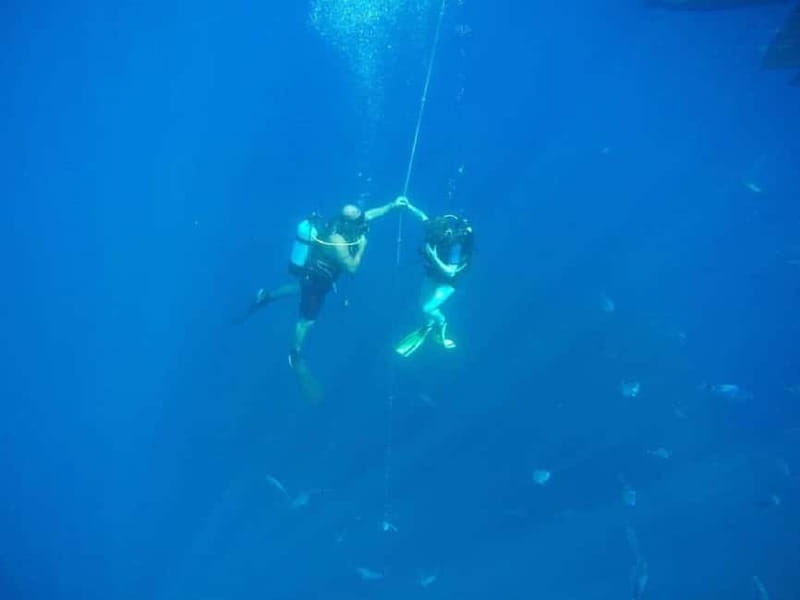 Larnaca: Private Zenobia Beginners Divers - Starting with equipment and safety in Larnaca
