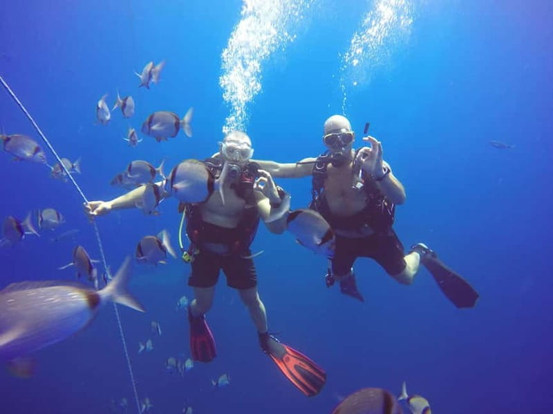 Larnaca: Private Zenobia Beginners Divers - Seeing the Zenobia at about 9 metres