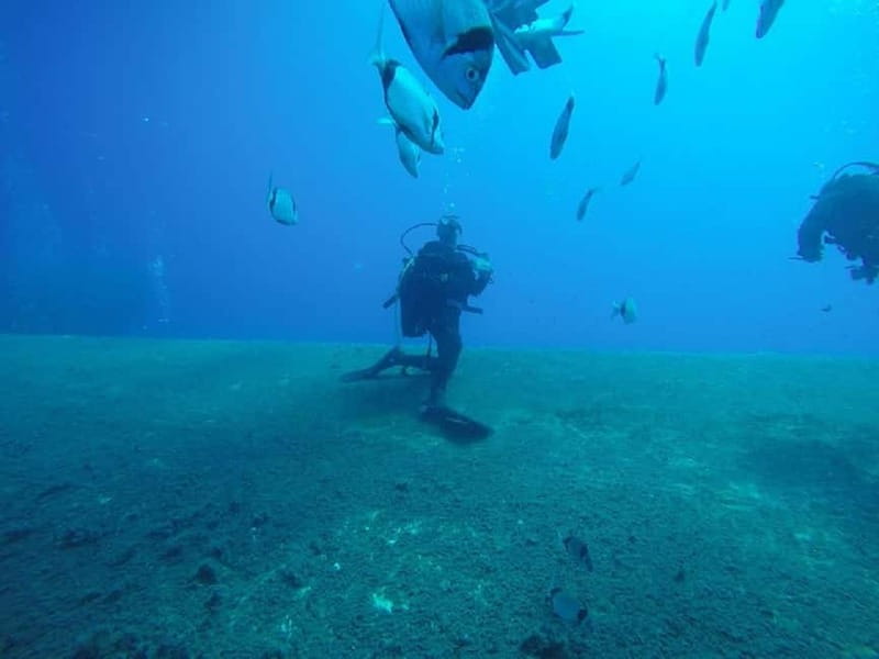 Larnaca: Private Zenobia Beginners Divers - Who should book this first attempt?