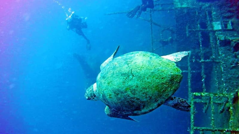 Larnaca: Private Zenobia Beginners Divers - Taking the boat toward the Zenobia wreck