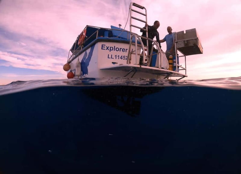 Larnaca: Snorkelling Zenobia Wreck Plus Mini Cruise - Key points before you book