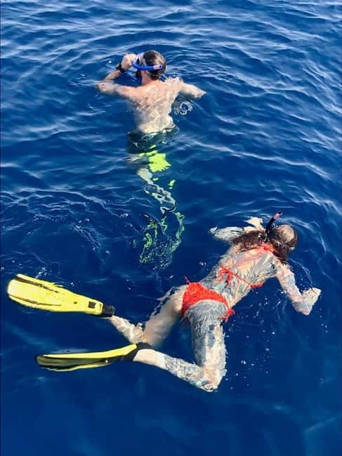 Larnaca: Snorkelling Zenobia Wreck Plus Mini Cruise - A realistic look at the guide service