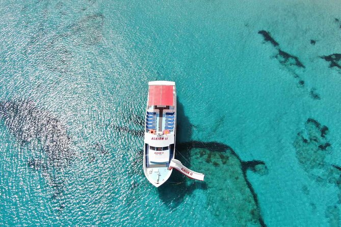 Latchi to Blue Lagoon Glass Bottom+slide Boat Tour - How much value do you get for $30.04?