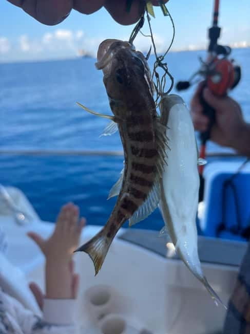 Limassol: Snorkeling trip in Limassol - The six-meter sunken ship for beginners