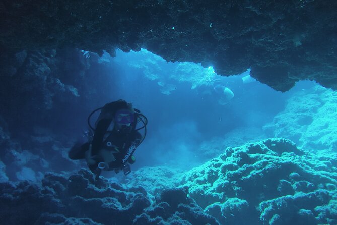 Local Guided Dives (for certified/licensed divers) - What is included for $78.61