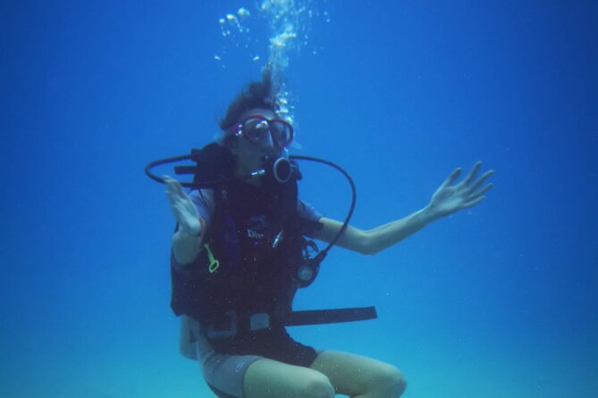 Local Guided Dives (for certified/licensed divers) - Photos, log books, and the return to Poseidon