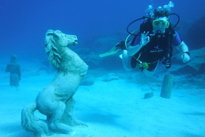 Local Guided Dives (for certified/licensed divers) - Who will get the most from this outing