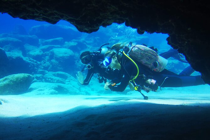 Local Guided Dives (for certified/licensed divers) - Timing, pickup, and practical planning