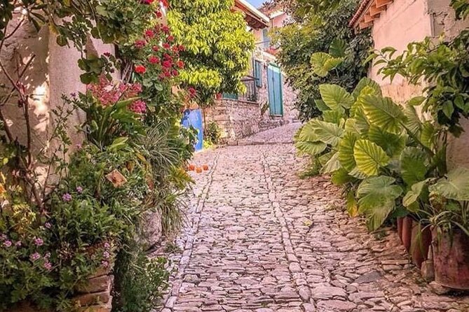 Meet the locals of Troodos mountains - Quick takeaways from the mountain day