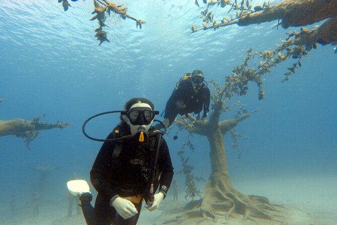 Musan Scuba Diving Private Adventure - The underwater sculpture museum