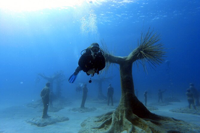 Musan Scuba Diving Private Adventure - How the private format affects the experience