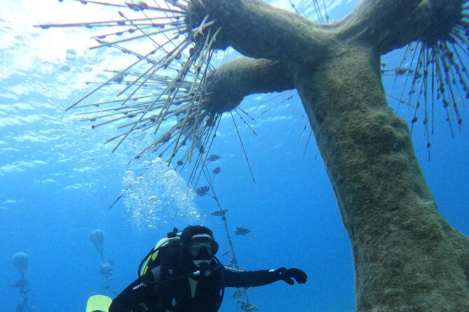 Musan Scuba Diving Private Adventure - What happens before you enter the water