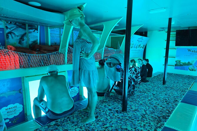 Nemo Submarine Adventure in Ayia Napa - The underwater portholes and what you may see