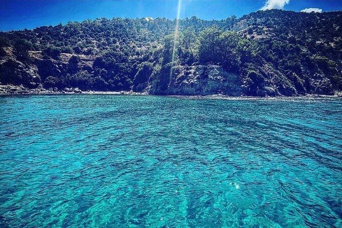 No Licence Private Self Drive Boat to Blue Lagoon +masks&snorkels - The real value of the $216.74 group price