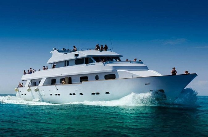 Ocean Flyer | VIP Cruise (Adults Only 18+) - Small details that can make the day better