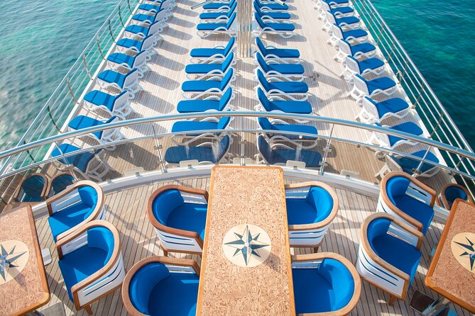 Ocean Vision | Half Day with BBQ Cruise - What kind of cruise is Ocean Vision?