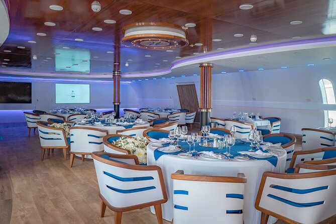 Ocean Vision | Half Day with BBQ Cruise - The Mediterranean swim stop