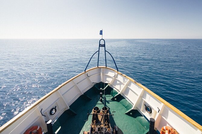 Odyssey Boat Safari from Larnaca - What the $96.33 price really covers