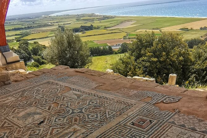 Pafos - Archaeology & Beauty tour from Limassol - Pafos mosaics in the House of Dionysus
