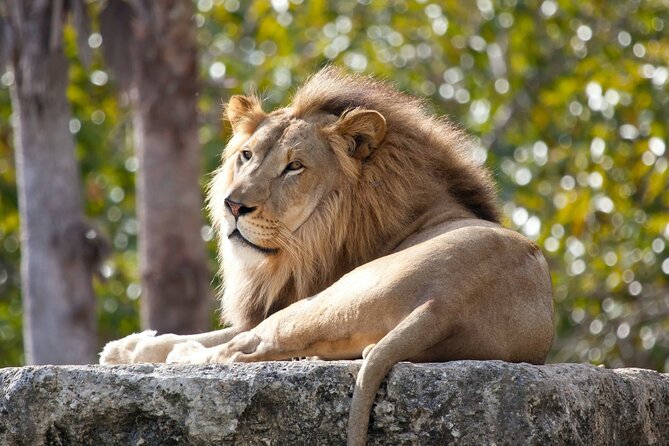 Pafos Zoo Ticket - Arriving at the zoo in Peyia