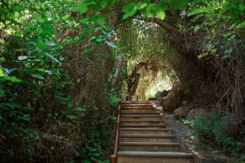 Paphos/Akamas: Blue Lagoon Bus & Boat Tour with Water Slide - The Paphos pickup: simple, but be ready