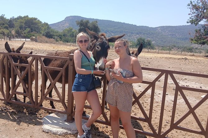 Paphos: Akamas Gorge & Turtle Bay & Donkey Farm Jeep Safari Tour - Key points to know before booking