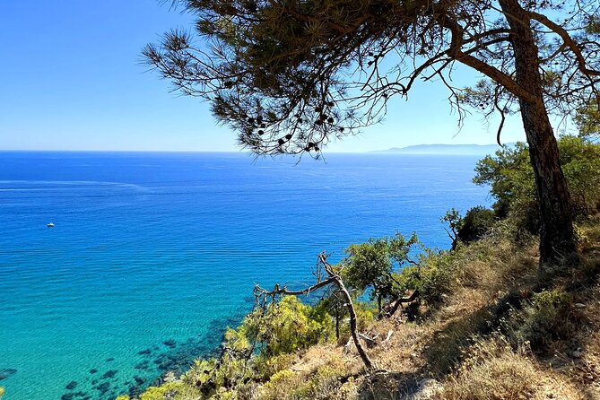 Paphos: Akamas Gorge & Turtle Bay & Donkey Farm Jeep Safari Tour - Baths of Aphrodite: myth in a shaded setting