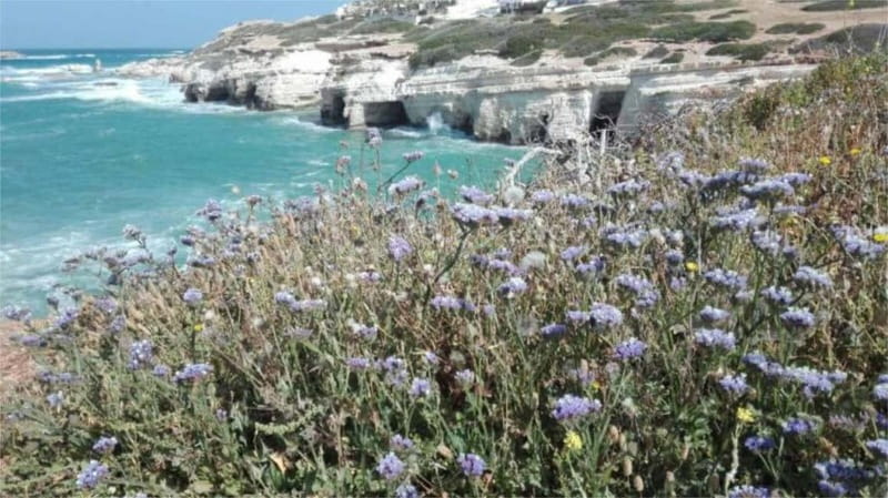 Paphos: Akamas, Waterfalls & Blue Lagoon of Aphrodite Tour - Avakas Gorge: the day’s best short walk