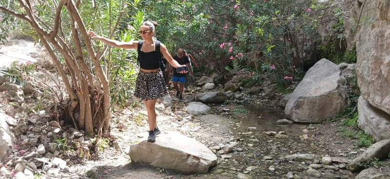 Paphos: Avakas Gorge & Turtle Bay Jeep Tour with Donkey Farm - Lara Bay and the turtle beach