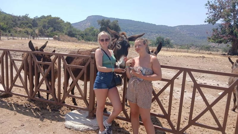 Paphos: Avakas Gorge & Turtle Bay Jeep Tour with Donkey Farm - Lunch at Latchi Harbour