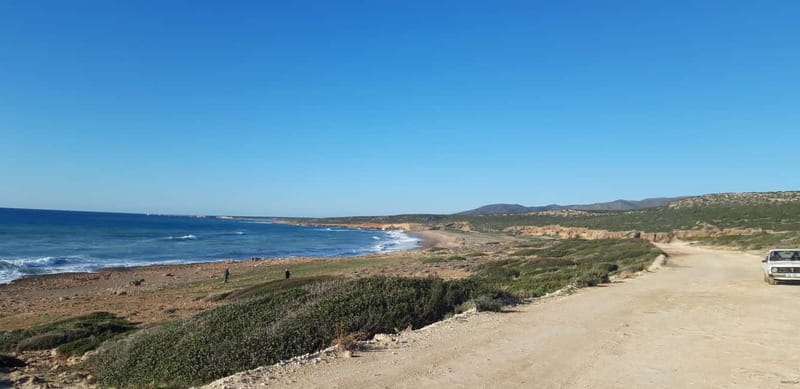 Paphos: Buggy Safari to Akamas Peninsula with Lunch - What the $276 price really buys you