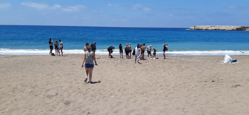 Paphos: Buggy Tour Akamas incl and Adonis Falls - Lara Bay: the tour’s best chance to swim