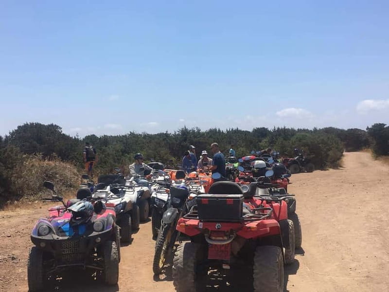 Paphos: Buggy Tour Akamas incl and Adonis Falls - What the $160 price really gets you