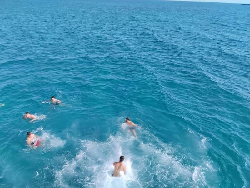 Paphos: Glass Bottom Boat Trip with Swimming or Snorkeling - Price, timing, and overall value