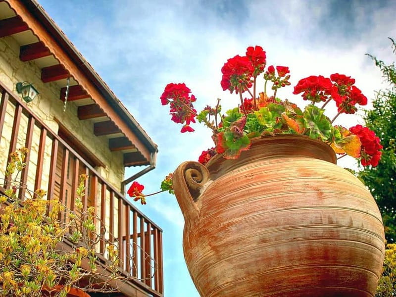 Paphos: Gourmet Cyprus Tour – Local Flavors & Wine - Smoked meats and unusual preserves