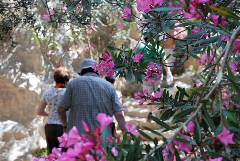 Paphos: Land Rover Jeep Safari Coastal Tour and Blue Lagoon - Avakas Gorge, where the walk gets more active
