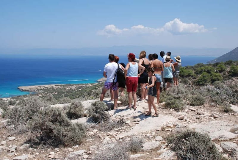 Paphos: Land Rover Jeep Safari Coastal Tour and Blue Lagoon - Lara Bay and Cyprus’ protected turtles