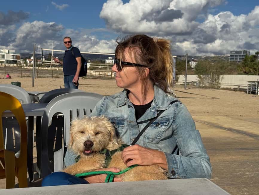 Paphos: Lighthouse Area Beach Walk with Rescue Dogs - Key points at a glance