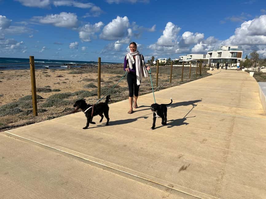 Paphos: Lighthouse Area Beach Walk with Rescue Dogs - Why the rescue stories matter