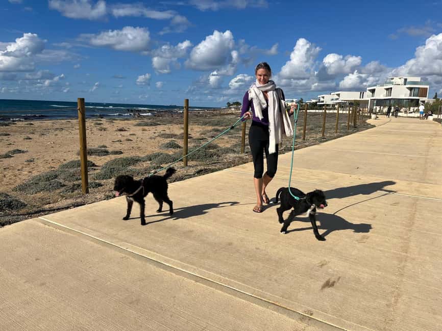 Paphos: Lighthouse Area Beach Walk with Rescue Dogs - A dog walk first, a photo stop second