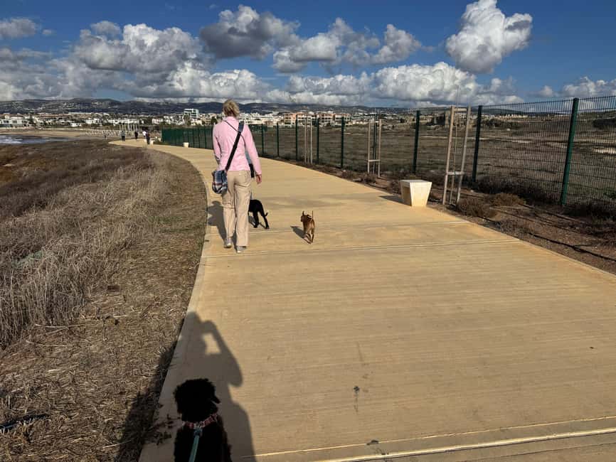 Paphos: Lighthouse Area Beach Walk with Rescue Dogs - Who will enjoy this experience most
