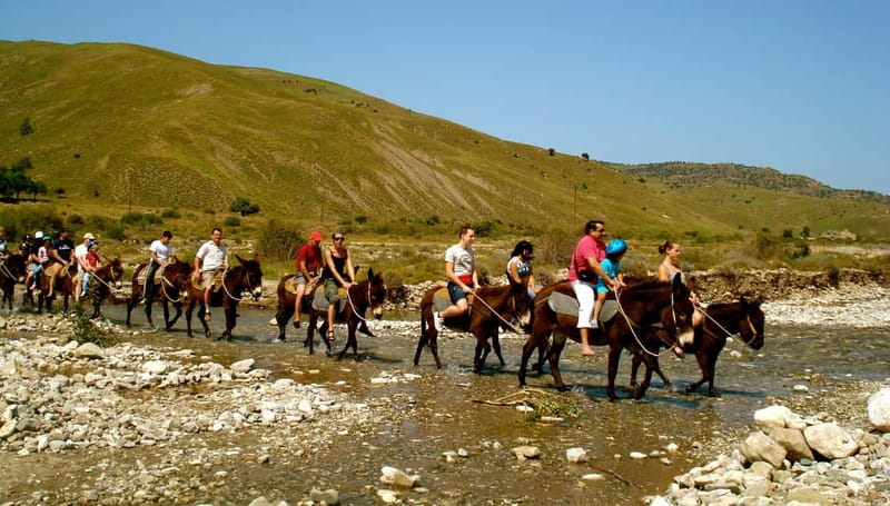 Paphos/Limassol: Donkey Farm Day Trip with Lunch & Tastings - Tasting Cyprus one small plate at a time