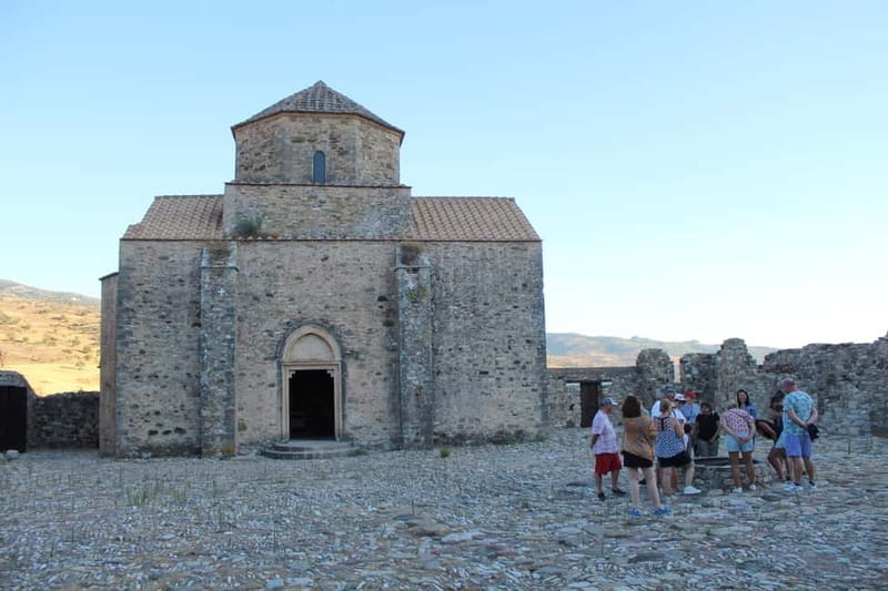 Paphos/Limassol: Donkey Farm Day Trip with Lunch & Tastings - The Agricultural Art Museum and old farming methods